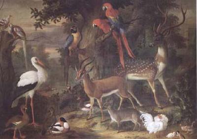 Jakob Bogdani Birds and deer in a Garden (mk25) Sweden oil painting art